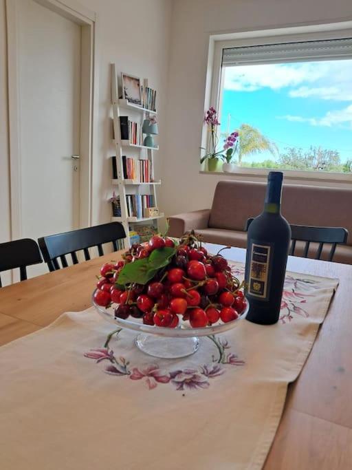 Malia Holiday Villa Conversano Kültér fotó